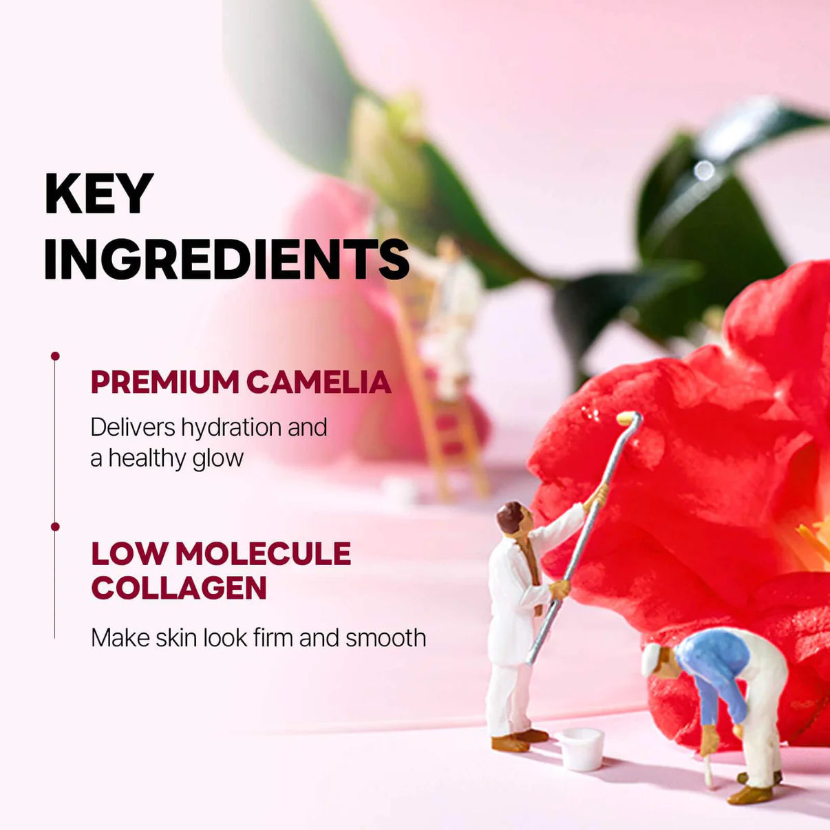 ROUND LAB - Camellia Deep Collagen Firming Gel Mask