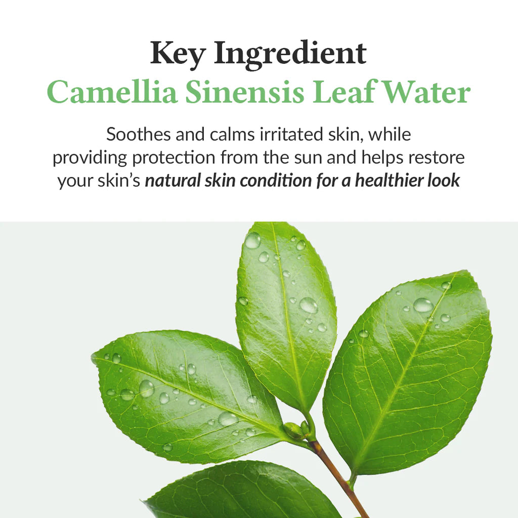 DR.ALTHEA - Green Tea Fresh Sunscreen 45ml