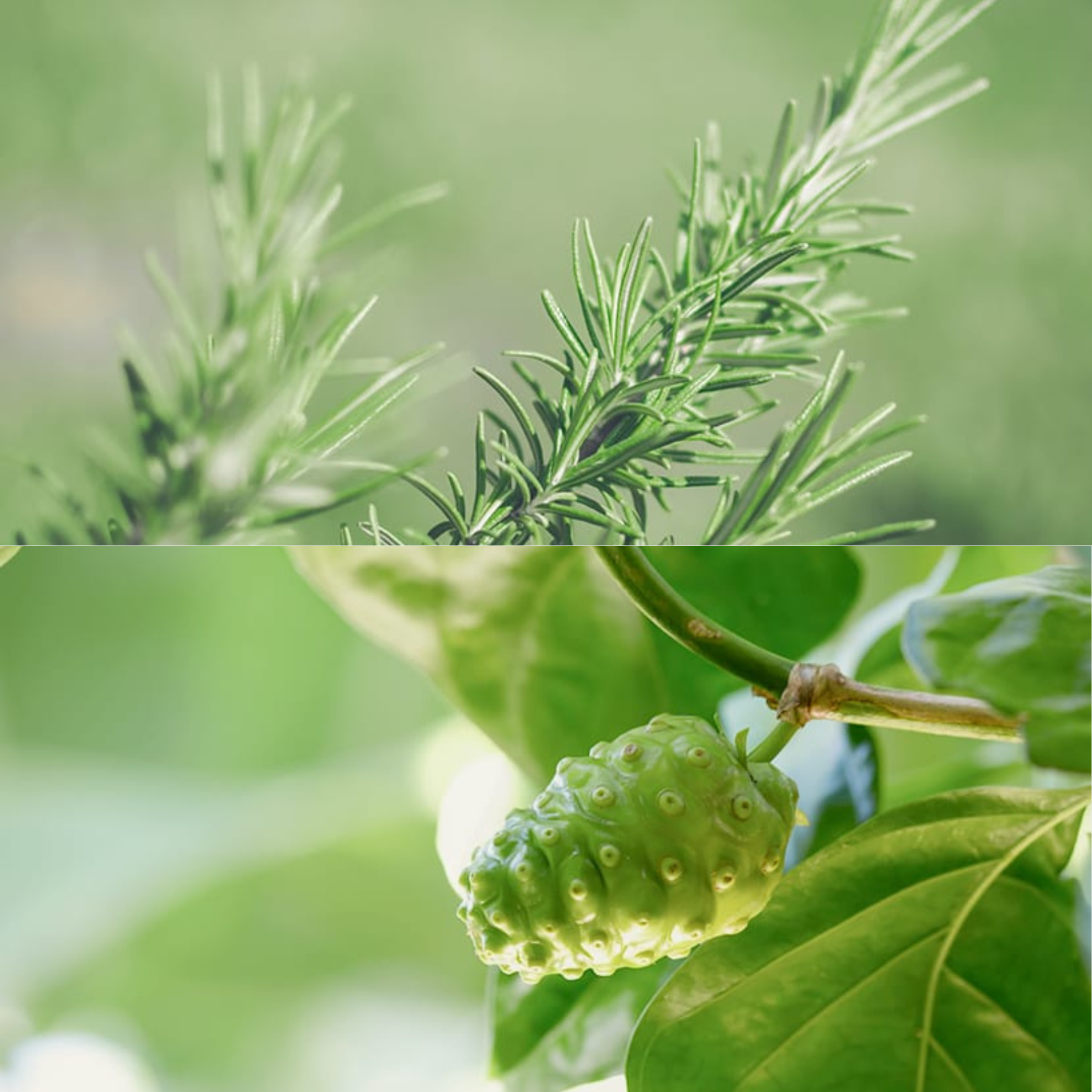 CELIMAX - Noni Acne Bubble Cleanser 155ml