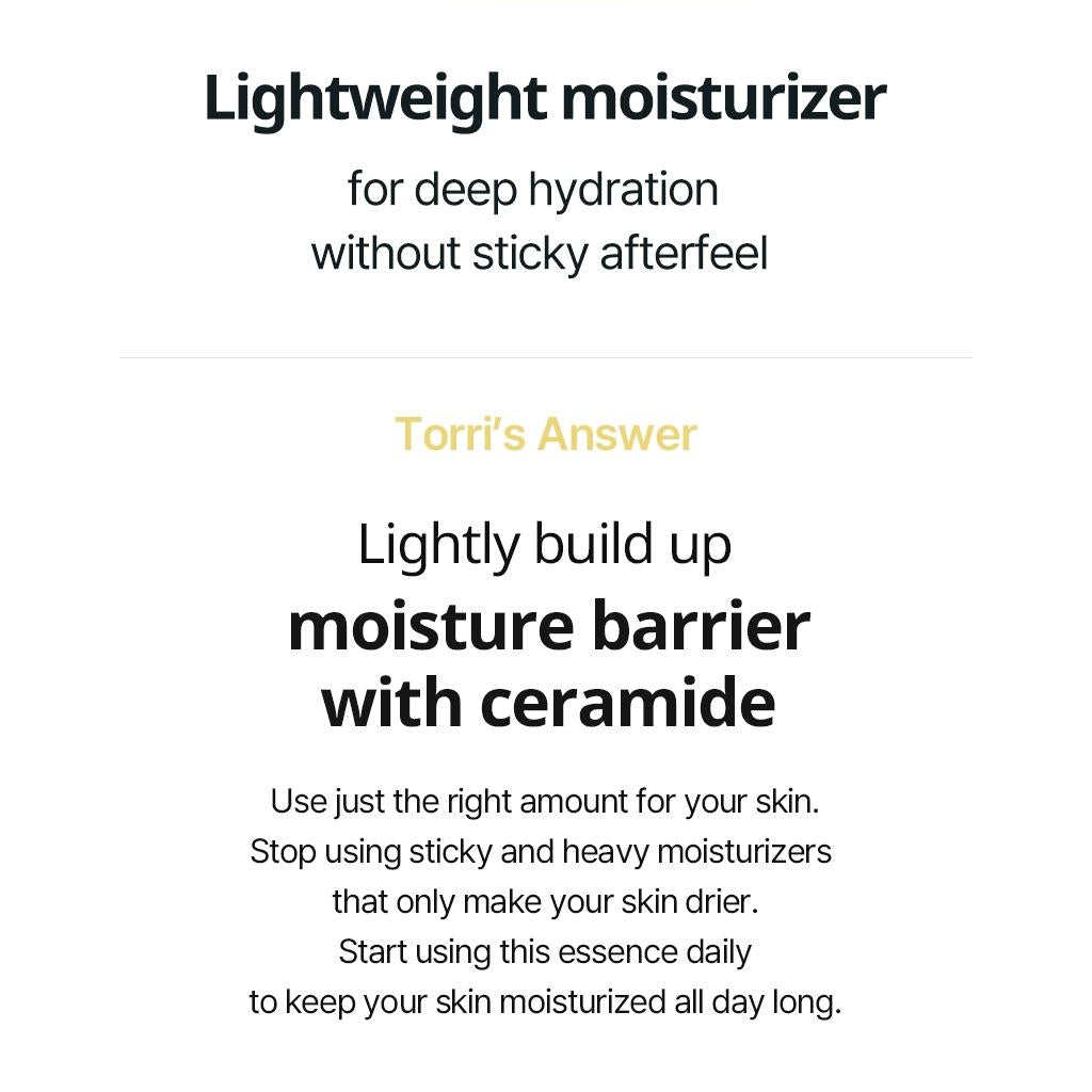 TORRIDEN - Solid-In All Day Essence 100ml