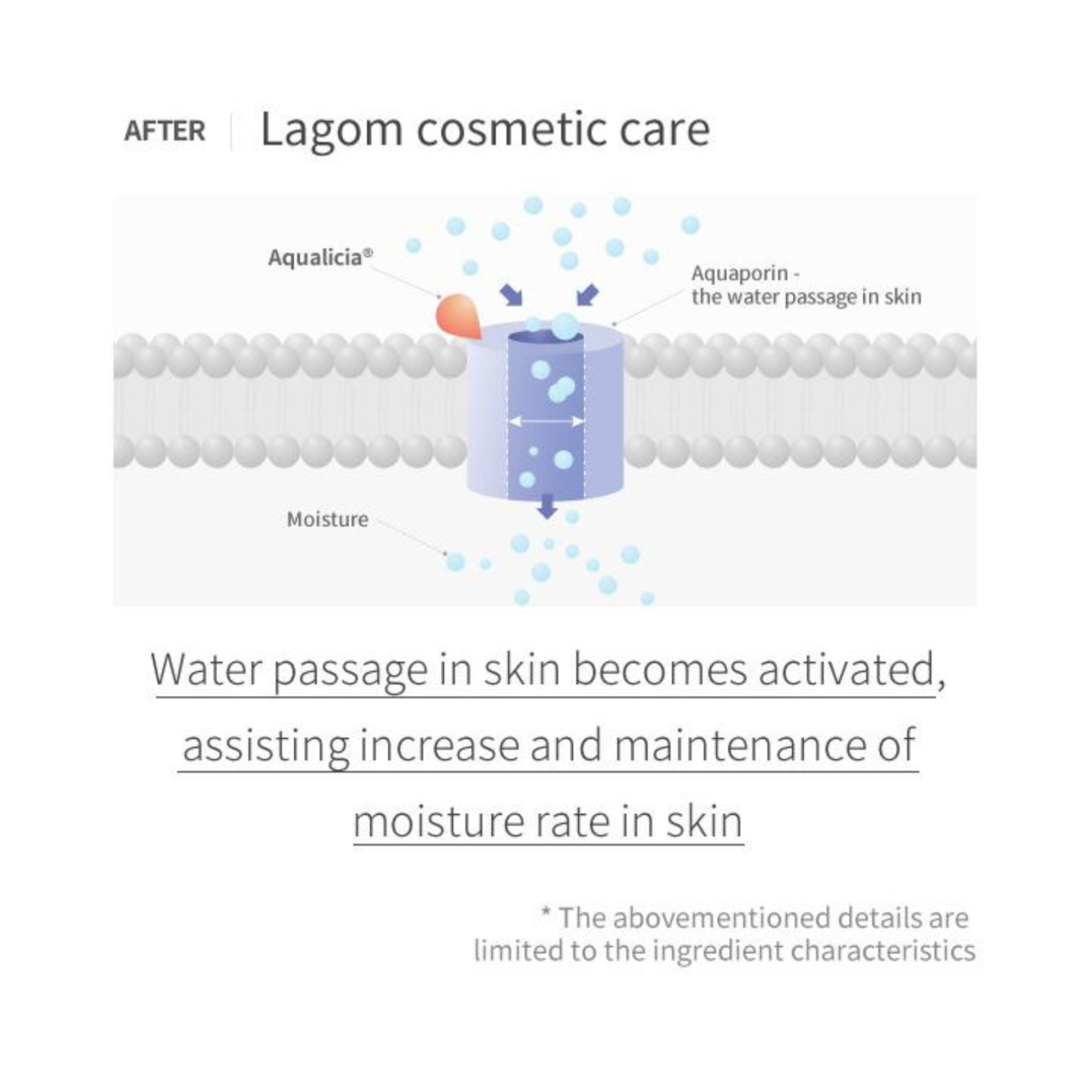 LAGOM - Cellup Micro Foam Cleanser 120ml