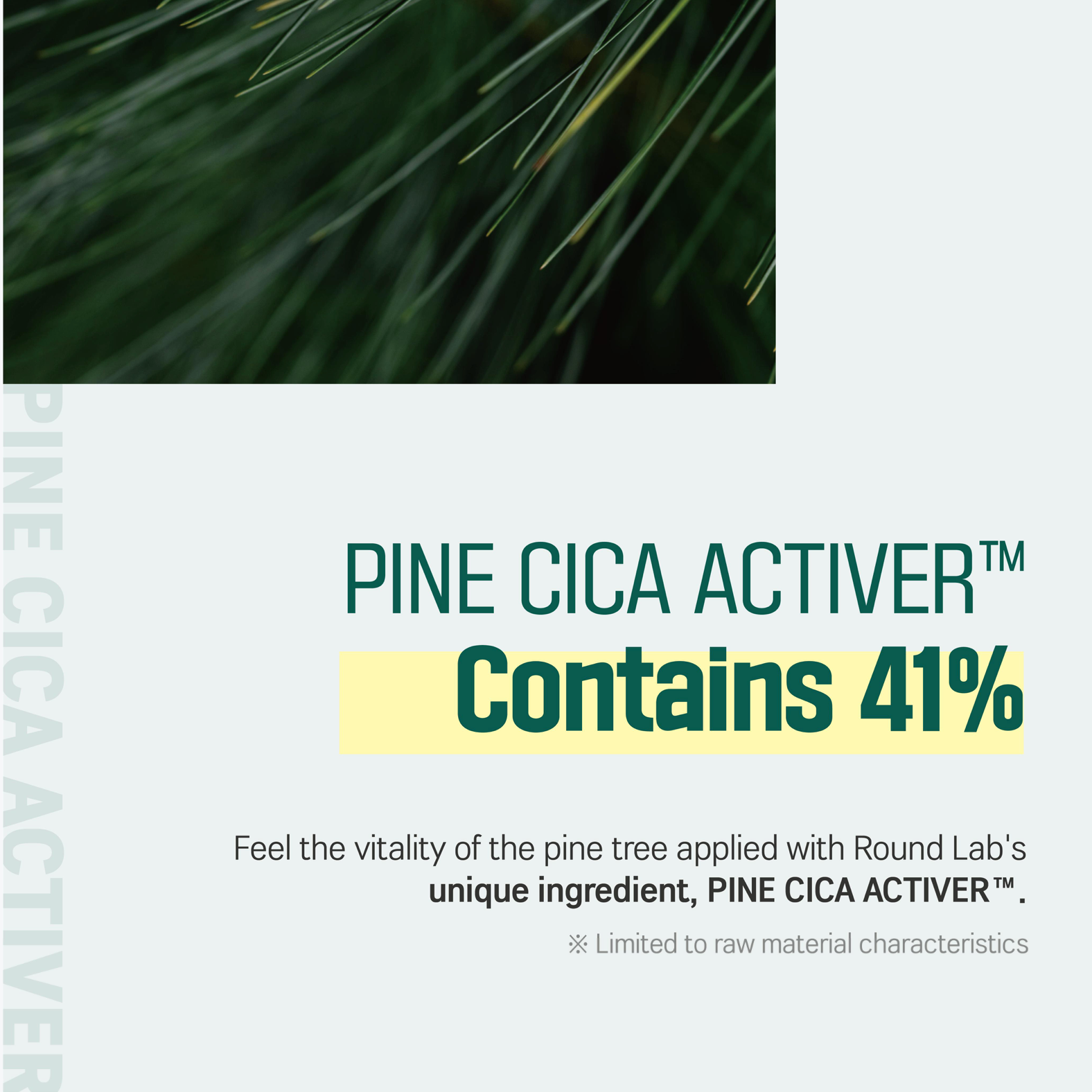 ROUND LAB - Pine Calming Toner 250ml