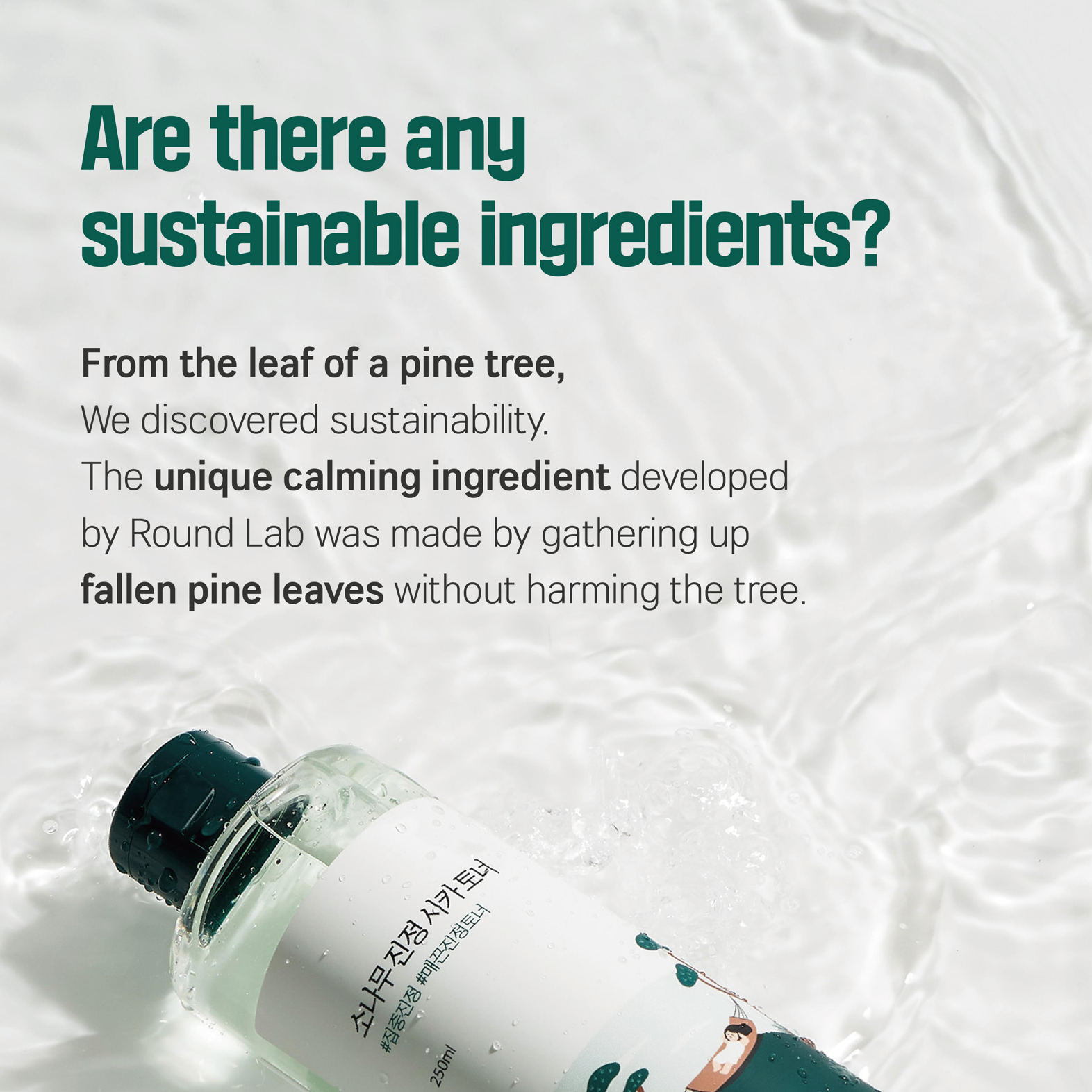 ROUND LAB - Pine Calming Toner 250ml