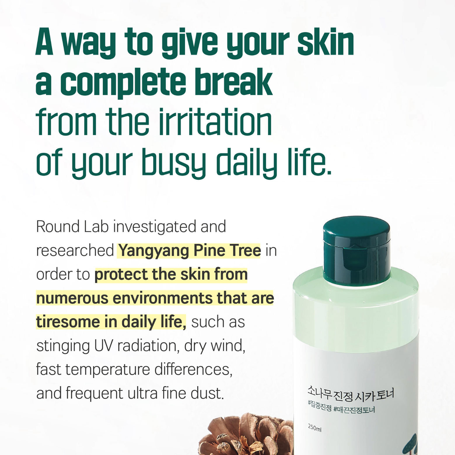 ROUND LAB - Pine Calming Toner 250ml