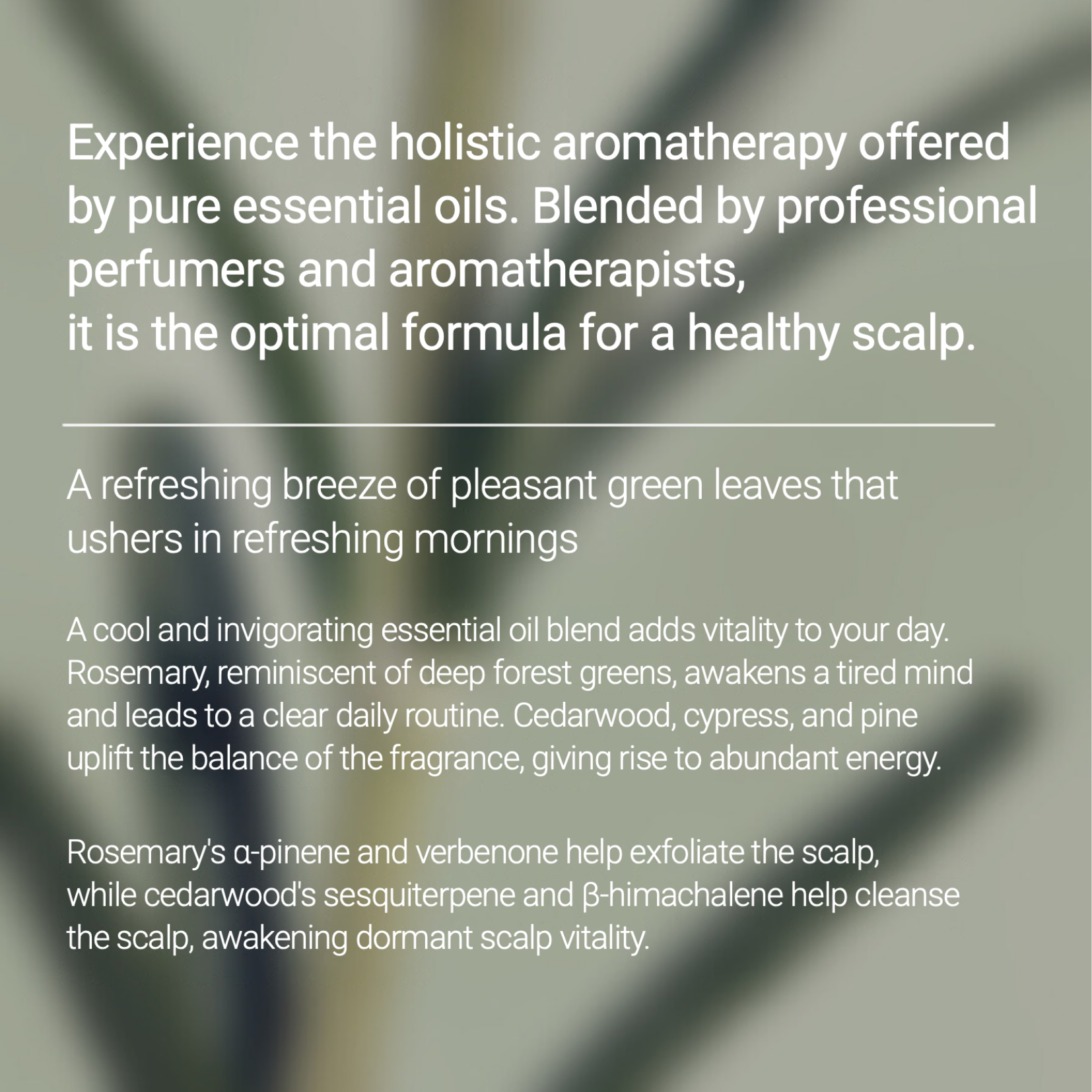 AROMATICA - Rosemary Root Enhancer 100 ml