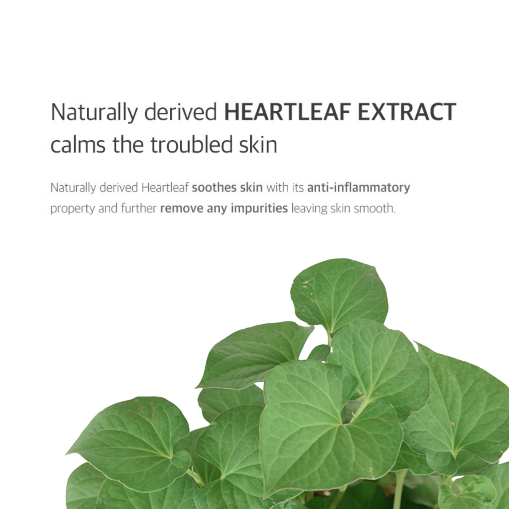 CELIMAX - JIWOOGAE Heartleaf BHA Peeling Pad (60pcs)