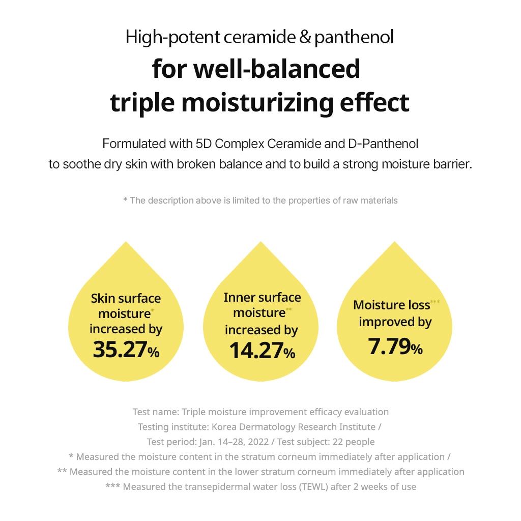 TORRIDEN - Solid-In All Day Essence 100ml