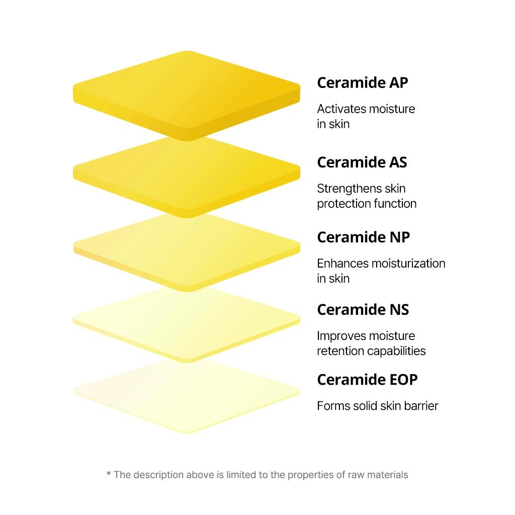 TORRIDEN - Solid-In All Day Essence 100ml