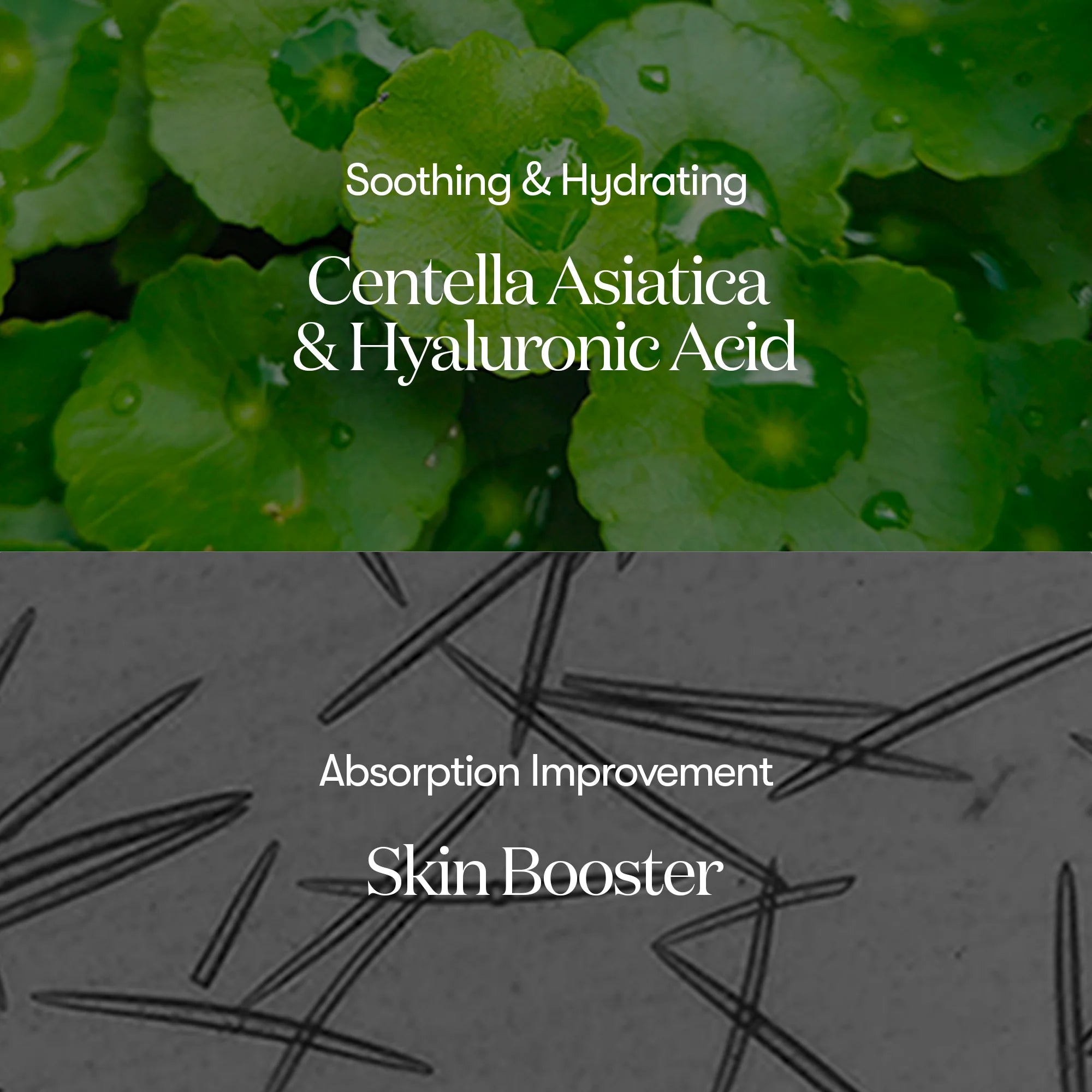 VT COSMETICS - Cica Reedle Shot 100