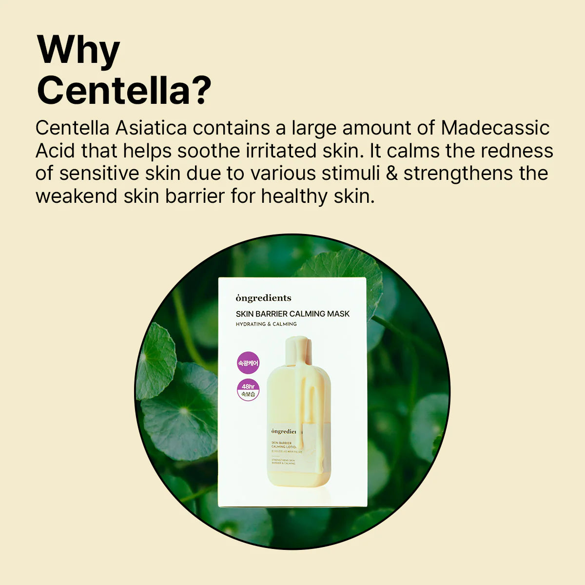 ONGREDIENTS - Skin Barrier Calming Mask