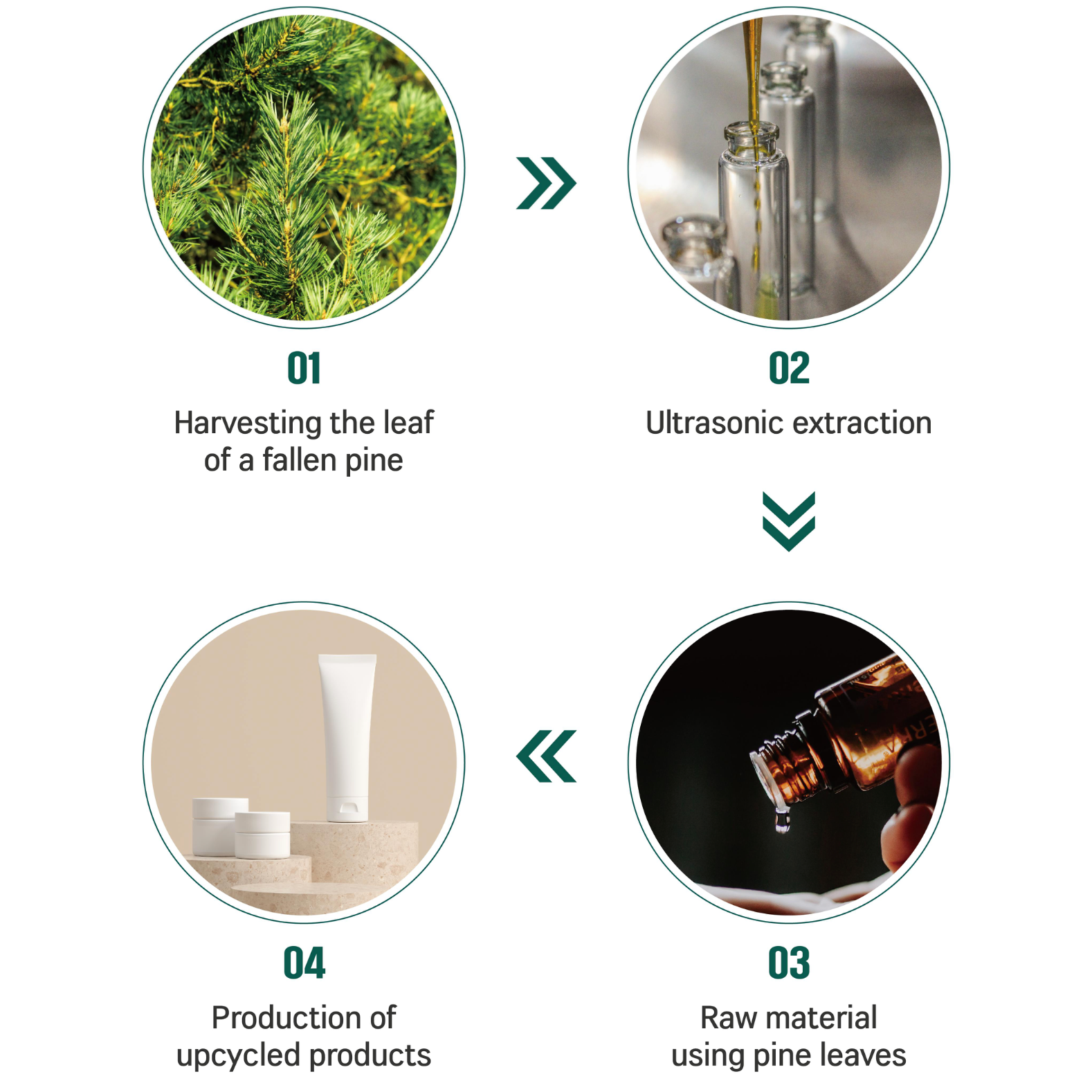 ROUND LAB - Pine Calming Toner 250ml